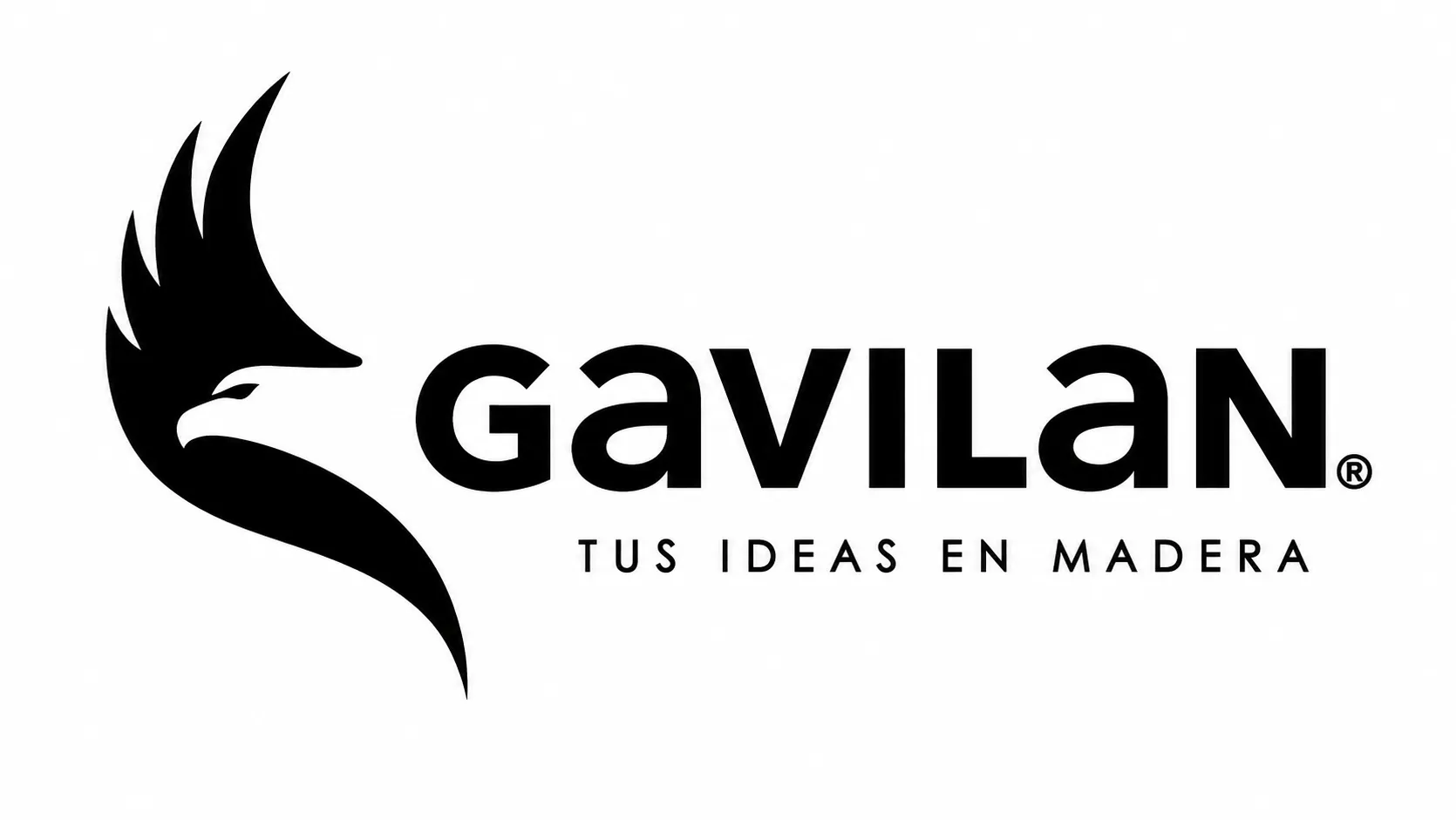 Gavilán